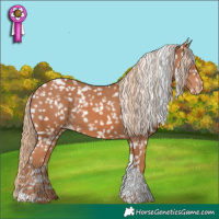 Horse Color:Chestnut Tobiano Snowflake Varnish