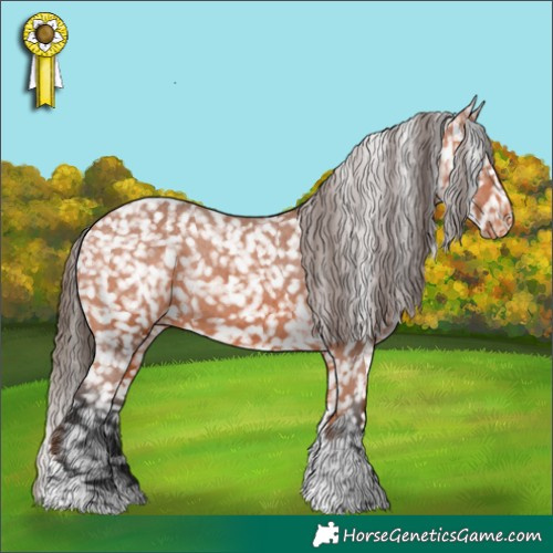 Horse Color:Bay Tobiano Appaloosa Rabicano 