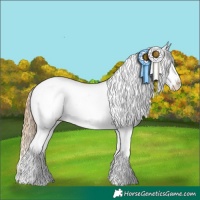 Horse Color:Chestnut Tobiano Snowflake Varnish