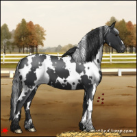 Horse Color:White Spotted Black Varnish
