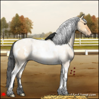 Horse Color:White Spotted Bay Dun 
