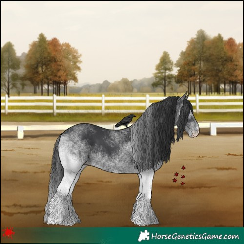 Horse Color:White Spotted Black 