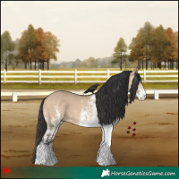 Horse Color:White Spotted Bay Dun