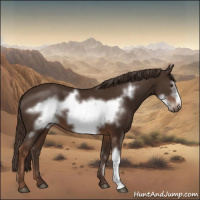 Horse Color:Liver Chestnut Frame 