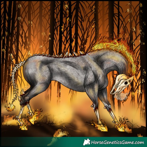 Horse Color:Liver Red Roan Tobiano