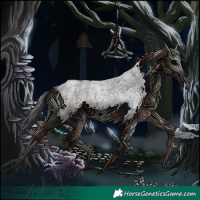 Horse Color:Bay Roan Splash Frame 