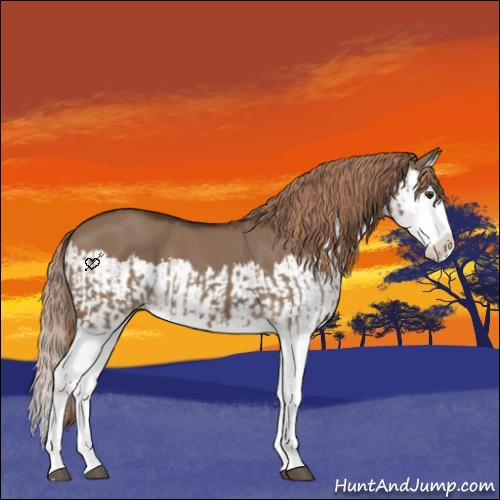 Horse Color:Liver Red Dun Splash and Liver Red Dun Splash