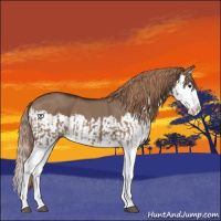 Horse Color:Liver Red Dun Splash  and Liver Red Dun Splash 