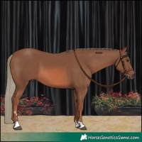 Horse Color:Chestnut Mushroom 