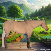 Horse Color:Silver Bay Dun