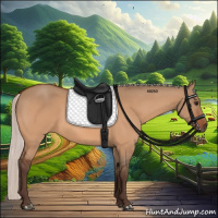 Horse Color:Silver Bay Dun 