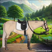 Horse Color:Silver Bay Dun 