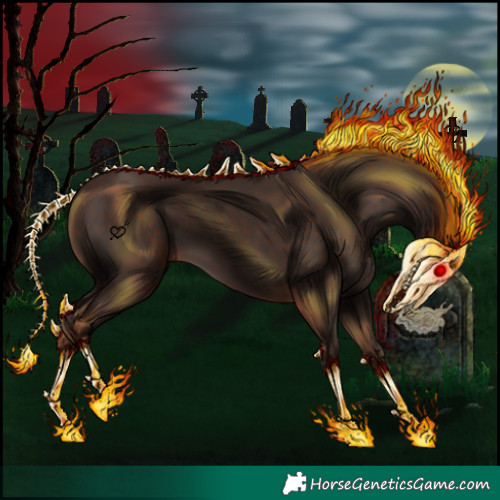 Horse Color:Liver Chestnut Rabicano 