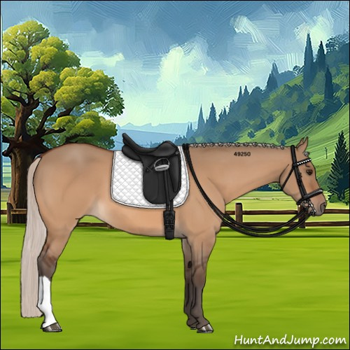 Horse Color:Silver Bay Dun 