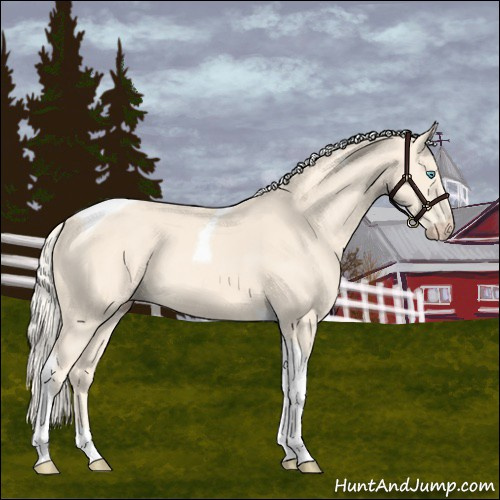 Horse Color:Cremello Tobiano 