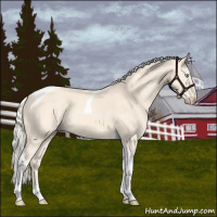 Horse Color:Cremello Tobiano 