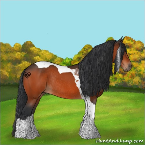 Horse Color:Brown Tobiano Rabicano
