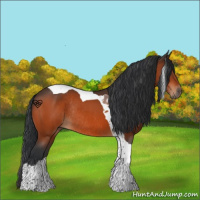 Horse Color:Brown Tobiano Rabicano 