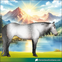 Horse Color:Gray Brown 