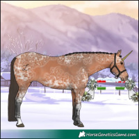 Horse Color:Bay Ice 