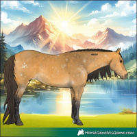 Horse Color:Buckskin 