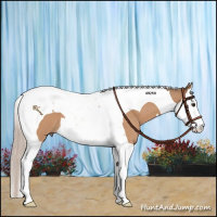 Horse Color:Silver Brown Dun Splash Tobiano 