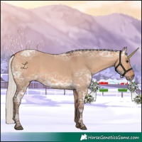 Horse Color:Silver Bay Ice Dun 