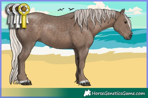 Horse Color:Silver Black Rabicano 