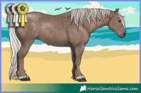 Horse Color:Silver Black Rabicano 