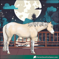 Horse Color:Silver Buckskin Pearl Dun Sabino Tobiano 