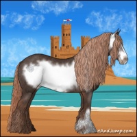 Horse Color:Liver Chestnut Frame Rabicano 