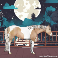 Horse Color:Silver Black Pearl Sabino Tobiano Rabicano 