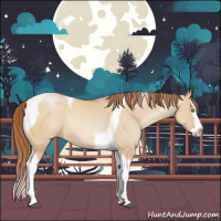 Horse Color:Bay Pearl Dun Sabino Splash Tobiano Rabicano 