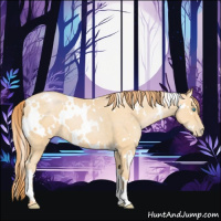 Horse Color:White Spotted Buckskin Pearl 
