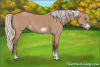 Horse Color:Silver Bay Dun Sabino Tobiano Frame Rabicano 