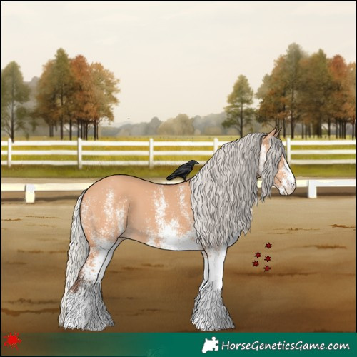Horse Color:White Spotted Silver Bay Dun