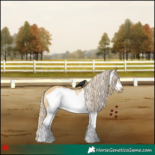 Horse Color:White Spotted Palomino Dun Frame 
