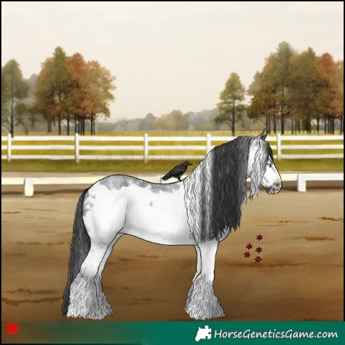 Horse Color:White Spotted Blue Roan Frame 
