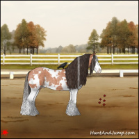 Horse Color:White Spotted Bay Roan Splash