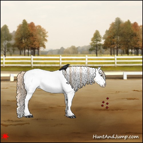 Horse Color:White Spotted Red Dun Rabicano 