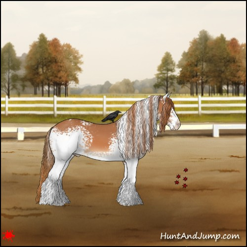 Horse Color:White Spotted Chestnut Appaloosa