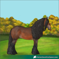 Horse Color:Brown 