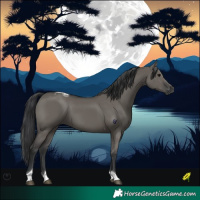 Horse Color:Grullo Tobiano