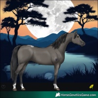 Horse Color:Grullo Tobiano 