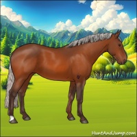 Horse Color:Silver Brown 