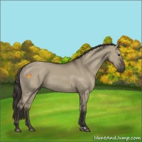 Horse Color:Smoky Grullo 