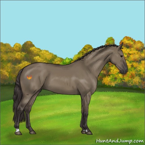 Horse Color:Smoky Grullo 