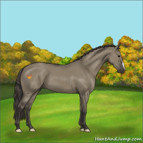 Horse Color:Smoky Grullo 