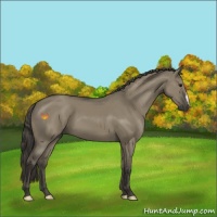 Horse Color:Smoky Grullo 