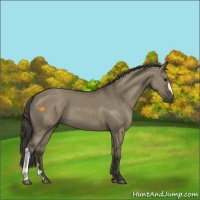 Horse Color:Smoky Grullo 
